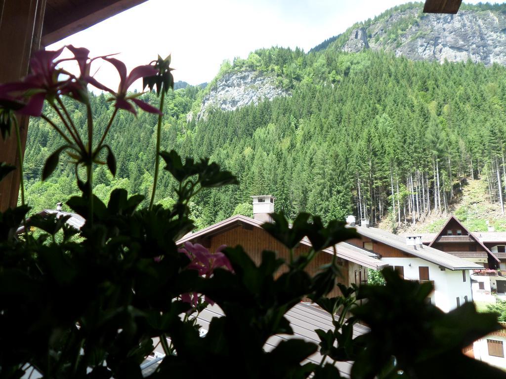 Affittacamere Pizzeria Marmolada Rocca Pietore Bagian luar foto