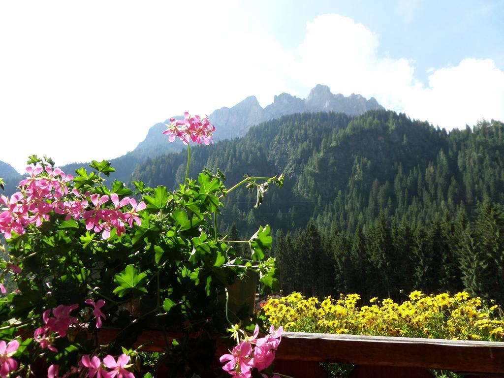 Affittacamere Pizzeria Marmolada Rocca Pietore Bagian luar foto
